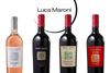 Grande successo dei nostri vini WHY NOT? 15.0 alel degustazioni di Luca Maroni!