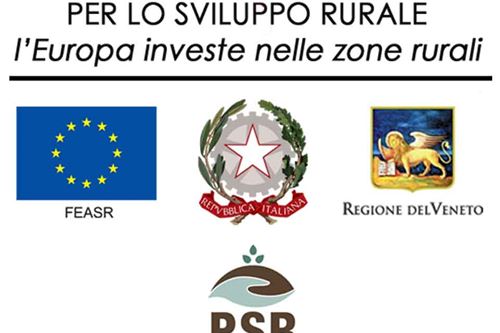 FONDO EUROPEO AGRICOLO PER LO SVILUPPO RURALE: l'Europa investe nelle zone rurali (Veneto)